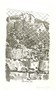 Morandi Giorgio - Piante di gerani e rete di filo di ferro